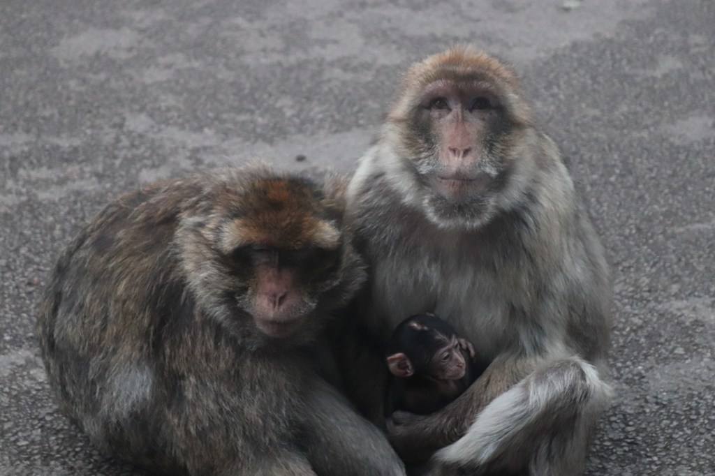 Poem: A Parent’s&nbsp;Love