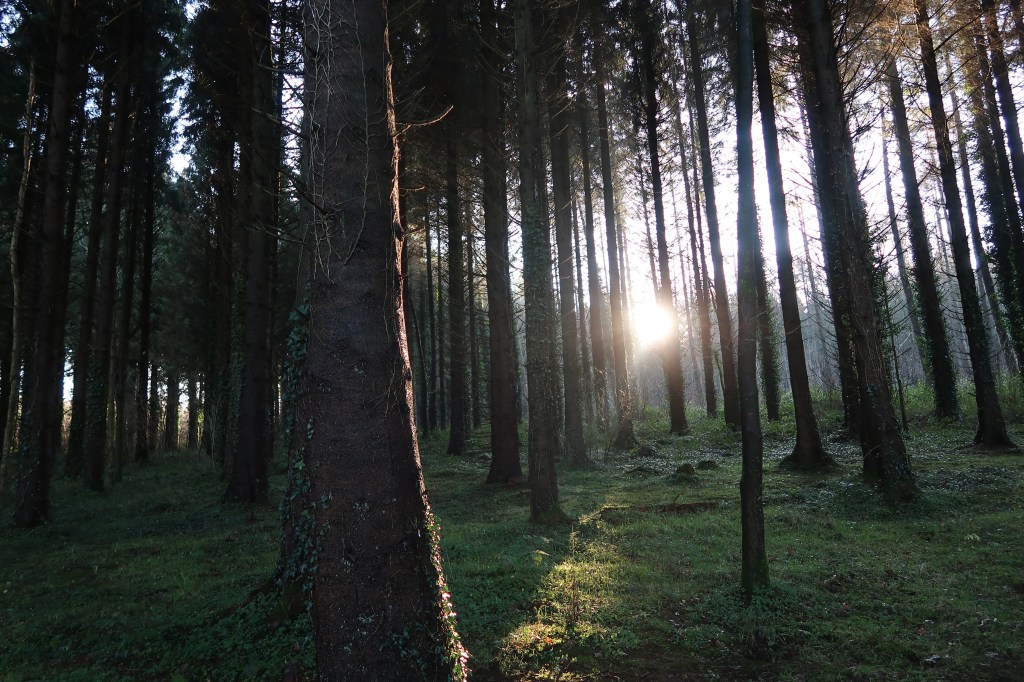 The Simple Way To Feel&nbsp;Better